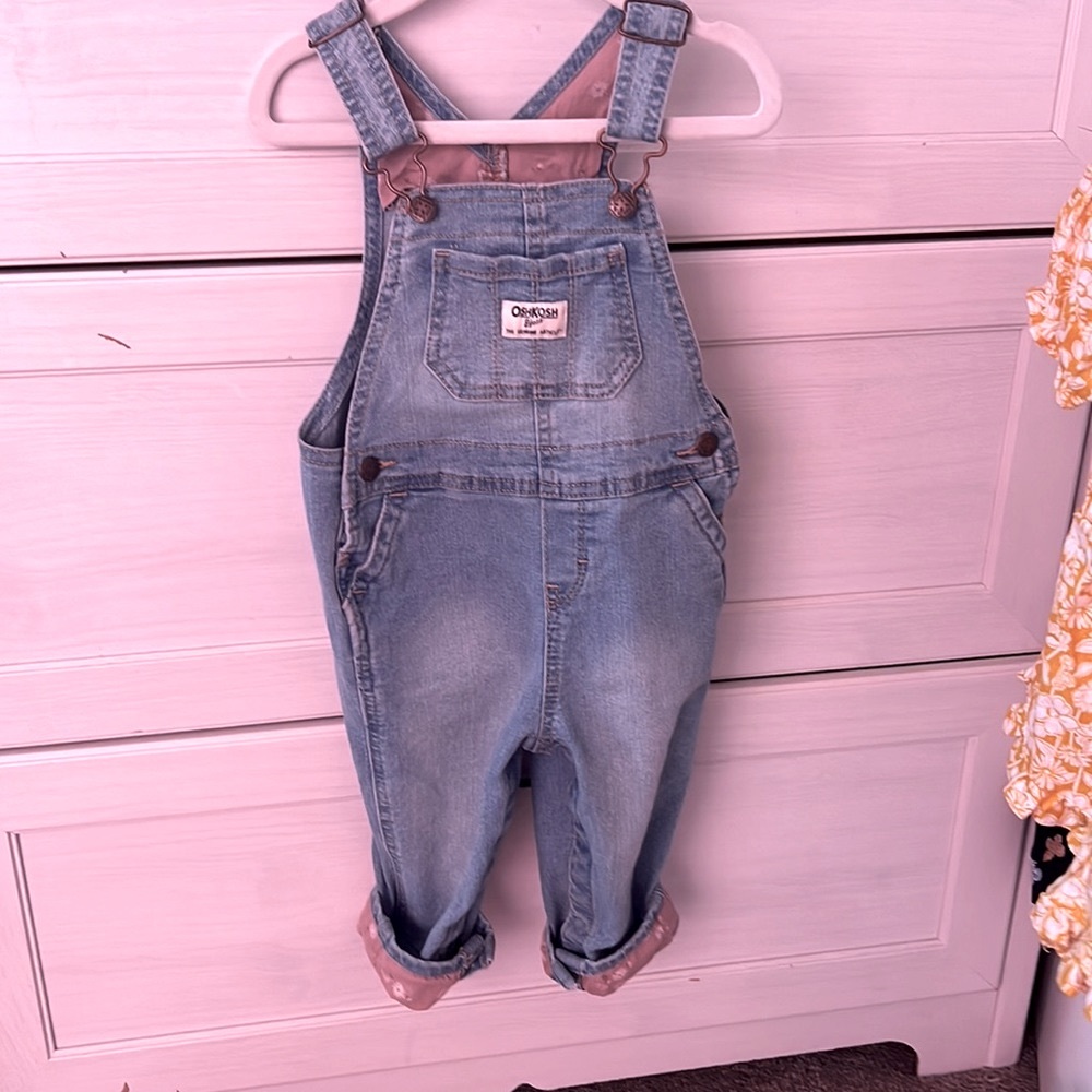 Oshkosh toddlers pink flowers overalls 18 months